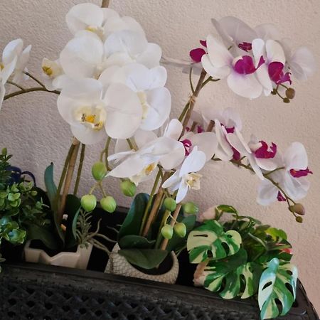 Alloggio Orchidea Монфальконе Экстерьер фото
