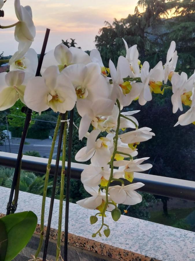 Alloggio Orchidea Монфальконе Экстерьер фото